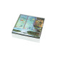 Fin Organizer for Finspan by Gaming Trunk